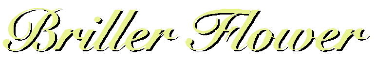 BrillerFlower ホーム