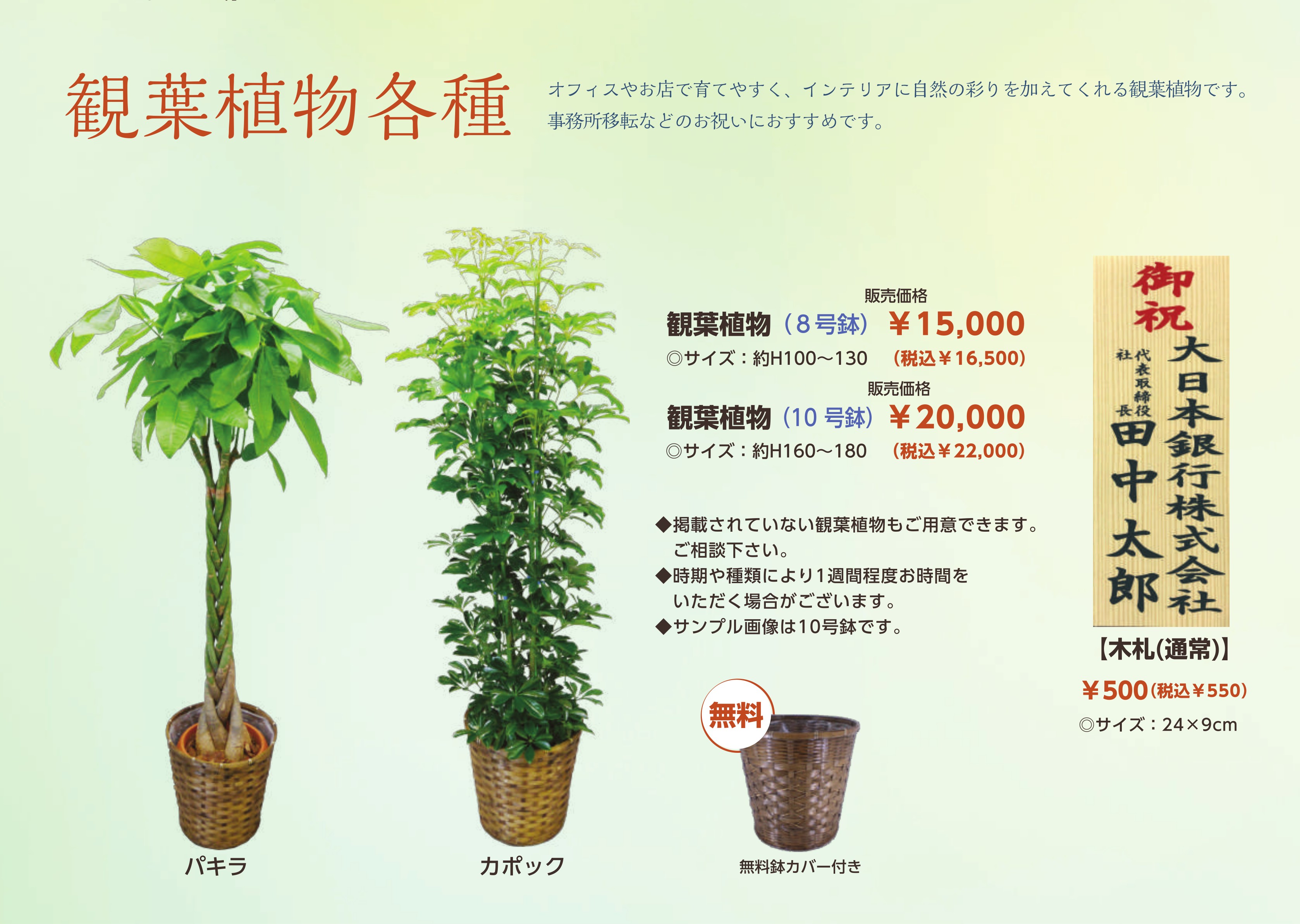 観葉植物